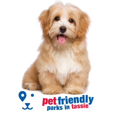 Pet friendly parks in Tasmania