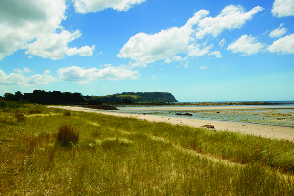Beach Retreat Tourist Park