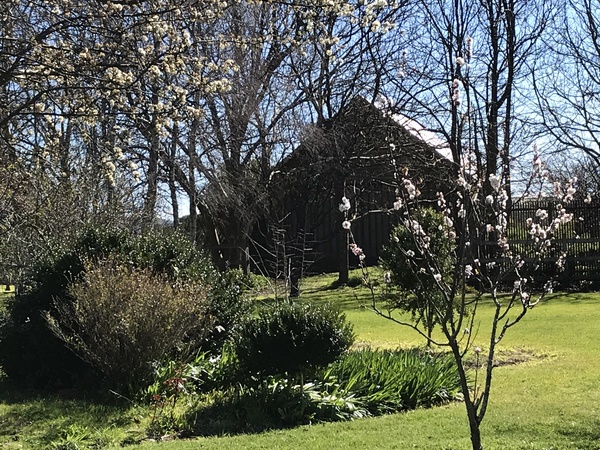 Somerset Beachside Cabin & Caravan Park